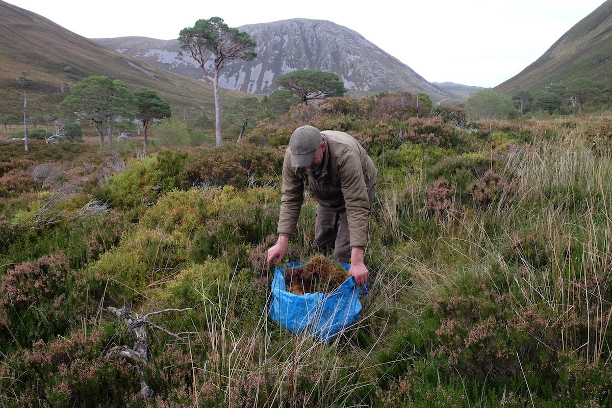 Reserve manager Innes collects moss and other vegetation