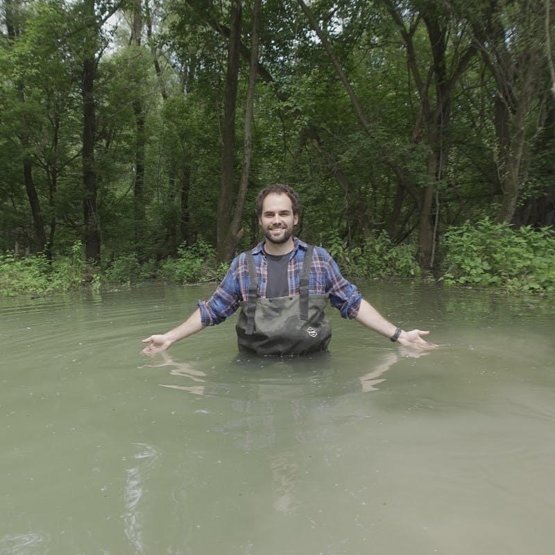 Restoring Wetlands