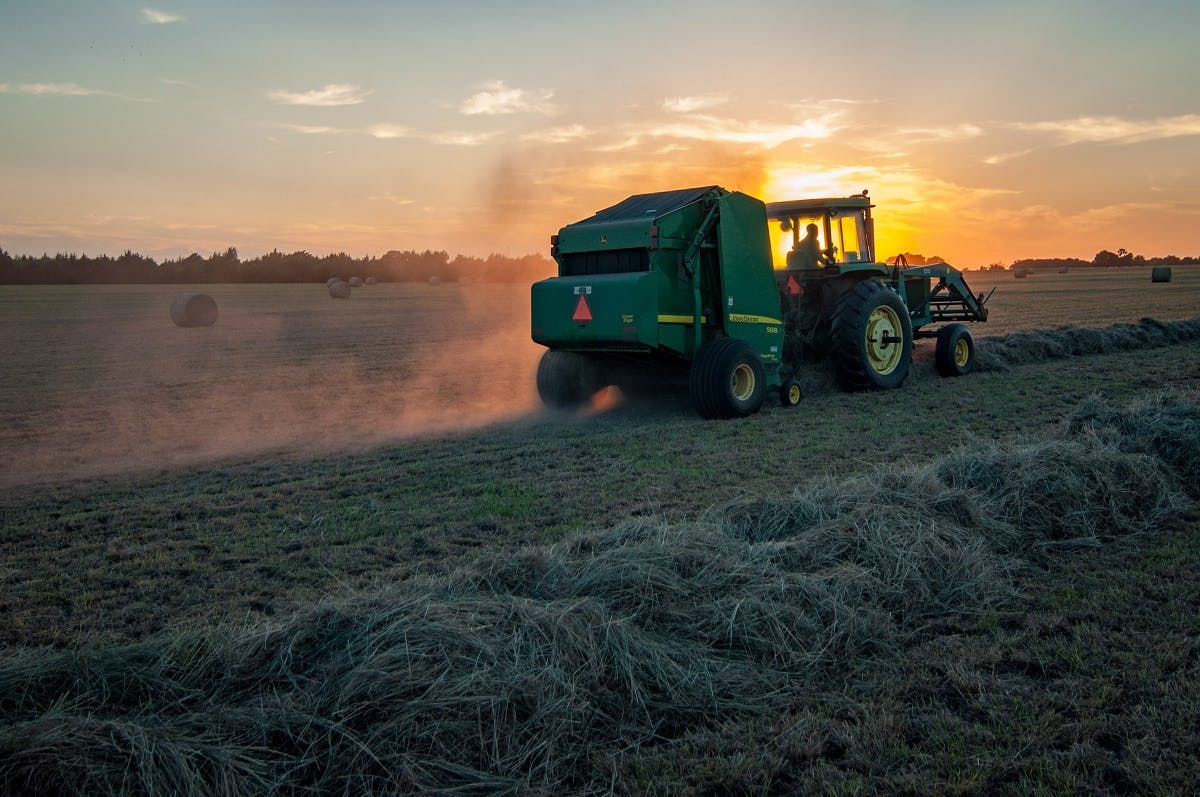 A tractor and combine cutting hay at sunset.