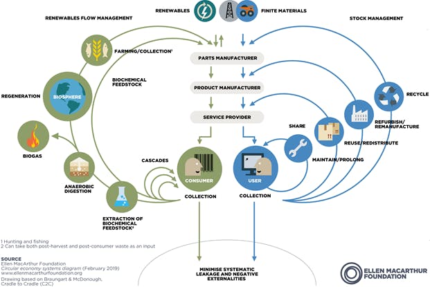 An info graphic of a circular economy by the Ellen MacArthur foundation