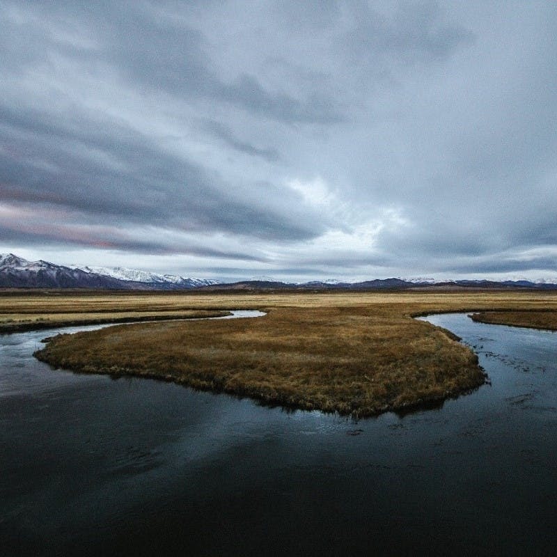 A river snaking through a tundra's grassland.