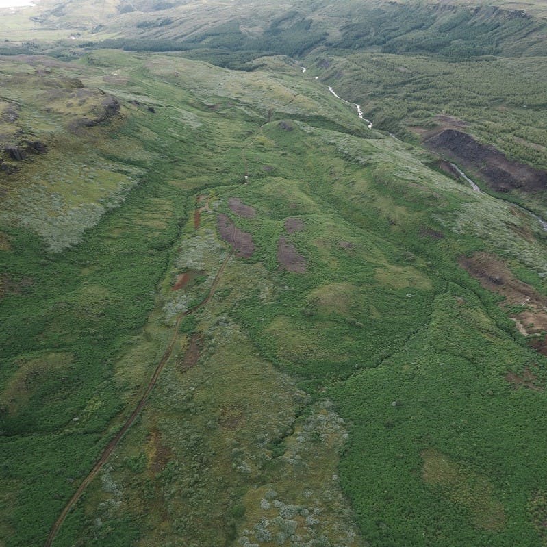 the view from above at Mossy Earth's Iceland Reforestation project