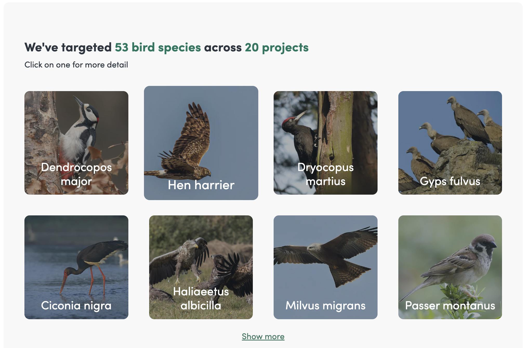 mossy earth transparency dashboard for species