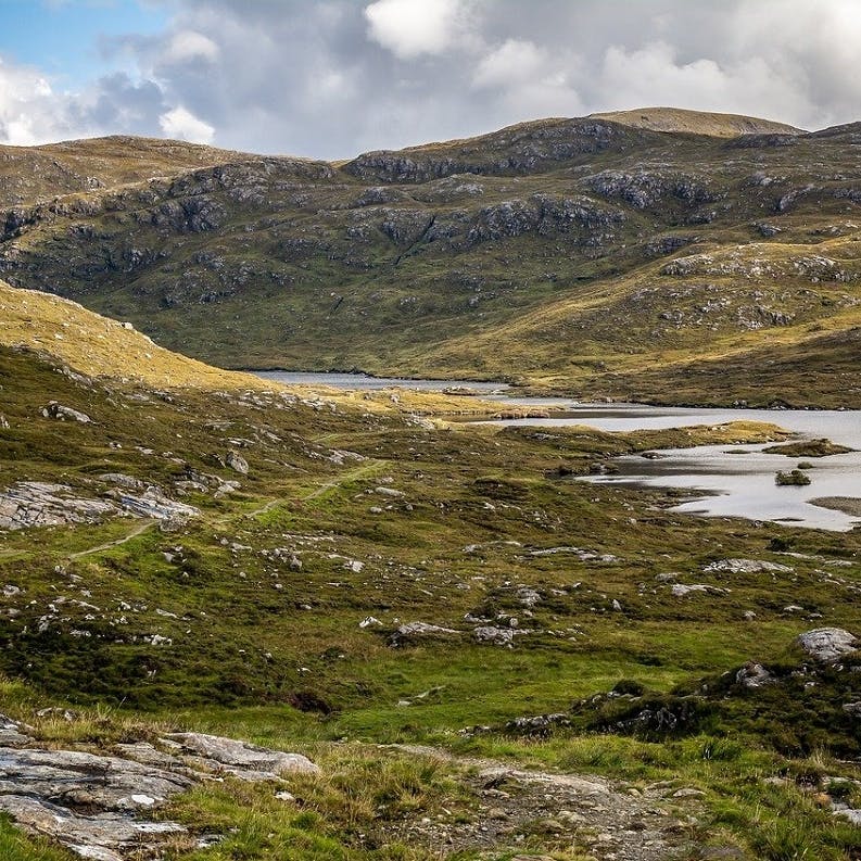 A bare landscape in Scotland, the kind which rewilding projects are restoring.