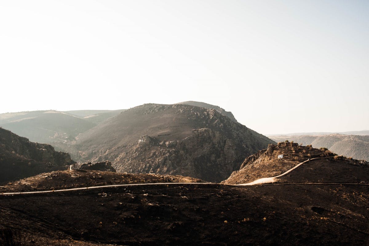 Douro Valley after wildfires in 2017. Such wildfires has made it difficult for the local Griffon vultures, Black vultures and Egyptian vultures to find prey.