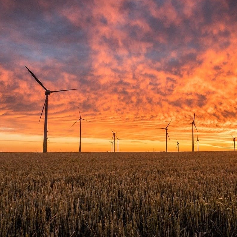Wind turbines in a field of wheat with a sunset backdrop.