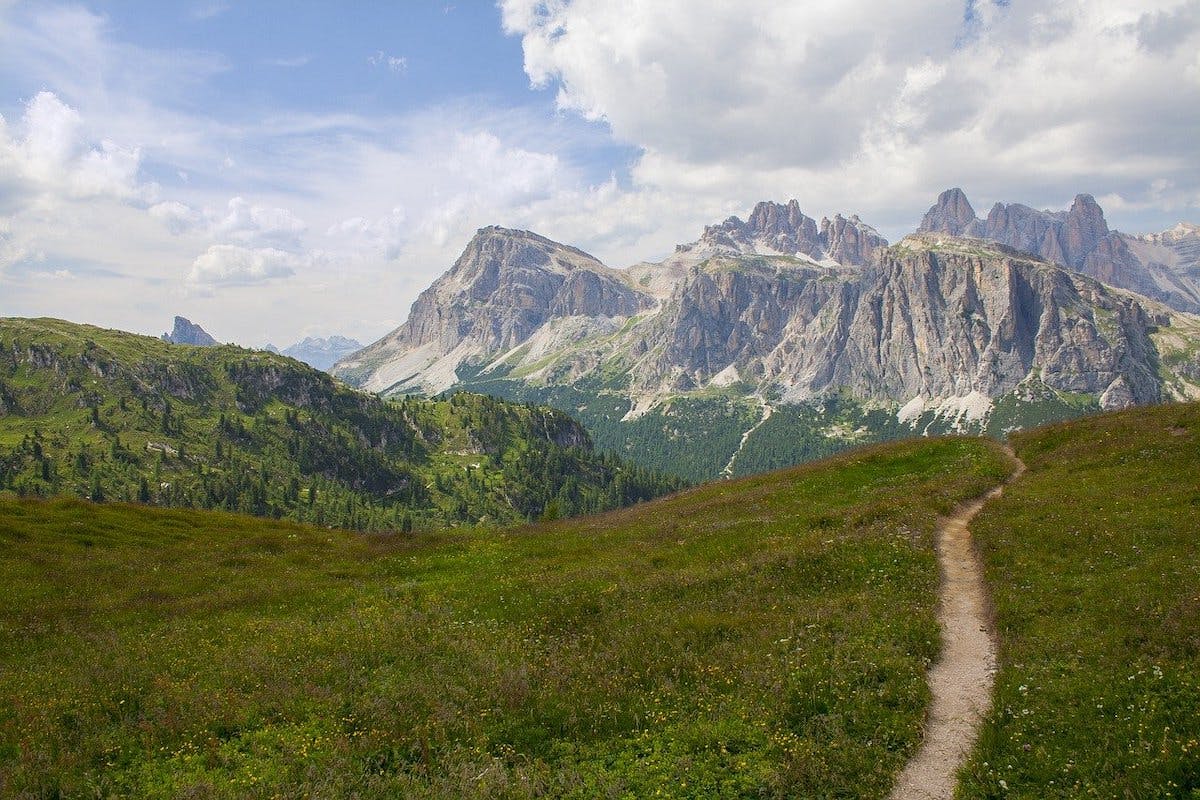 Grasslands and woodlands lead up to craggy mountain tops. This is an ideal habitat for reintroduced bison in Europe.