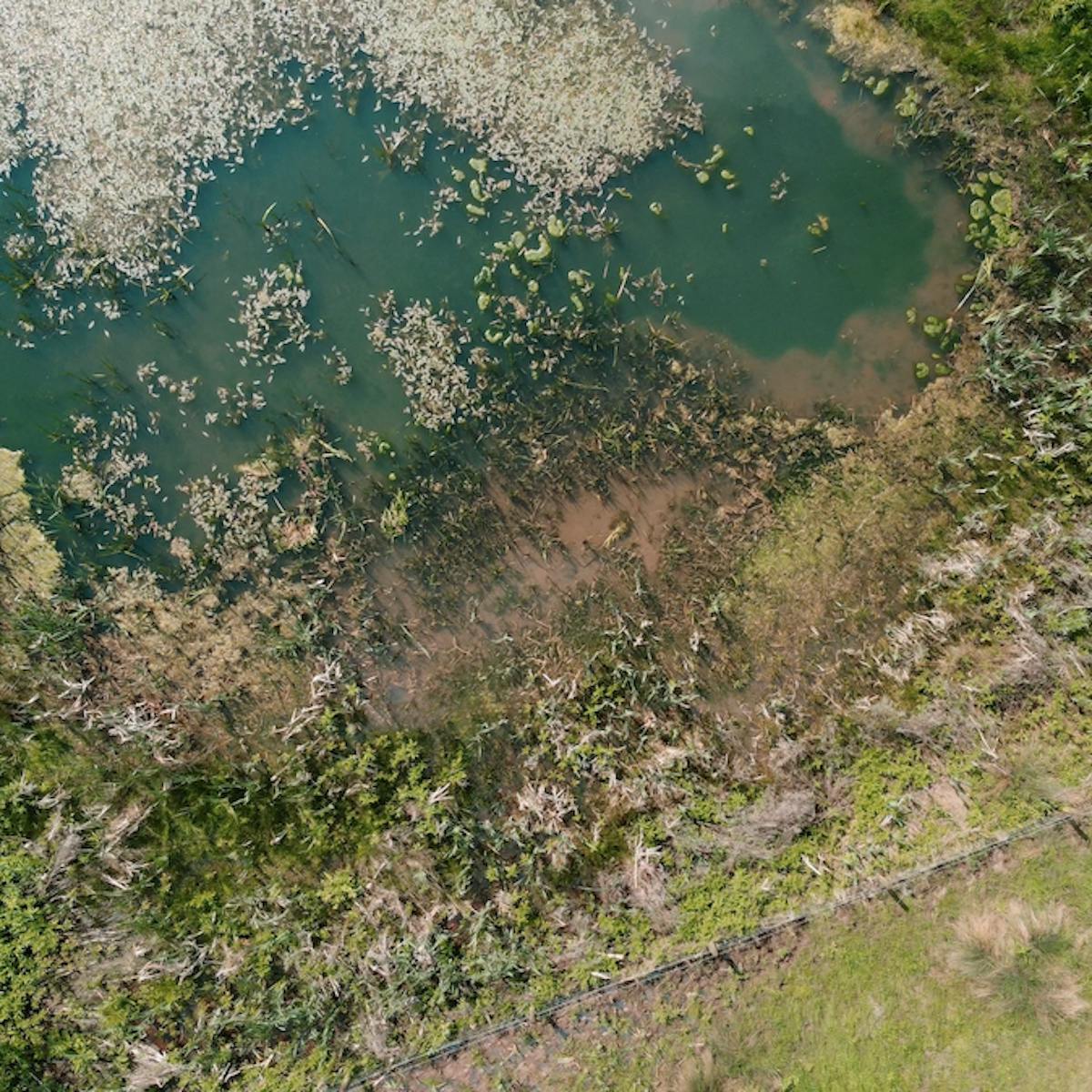 A bird's eye view of a pond in the River Chew catchment
