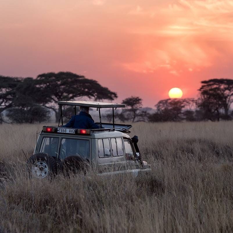 A 4x4 taking people on a nature based tourism safari. Rewilding can provide sustainable livelihoods for rural communities through nature-based tourism