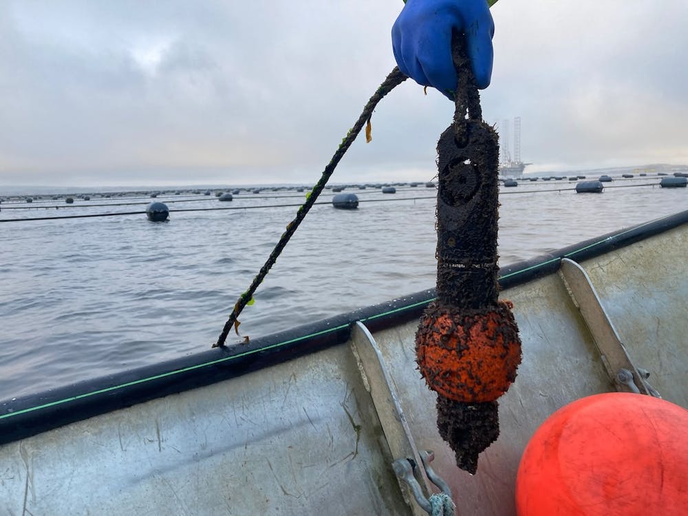 datalogger being pulled from the water