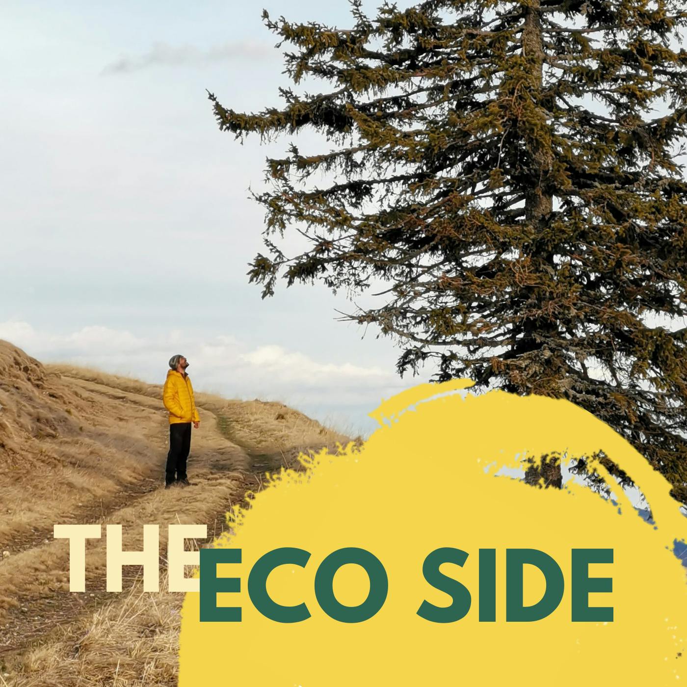 Mossy Earth's The Eco Side podcast