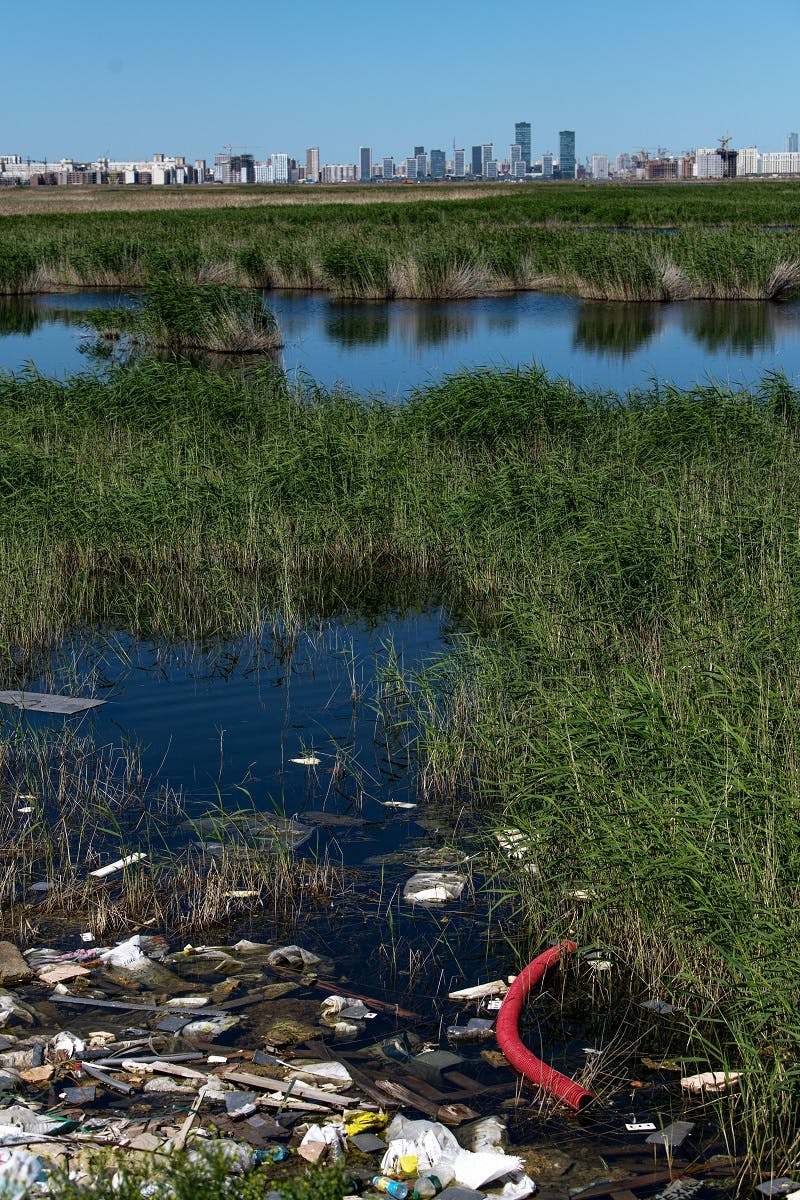 A polluted wetland close to a city.