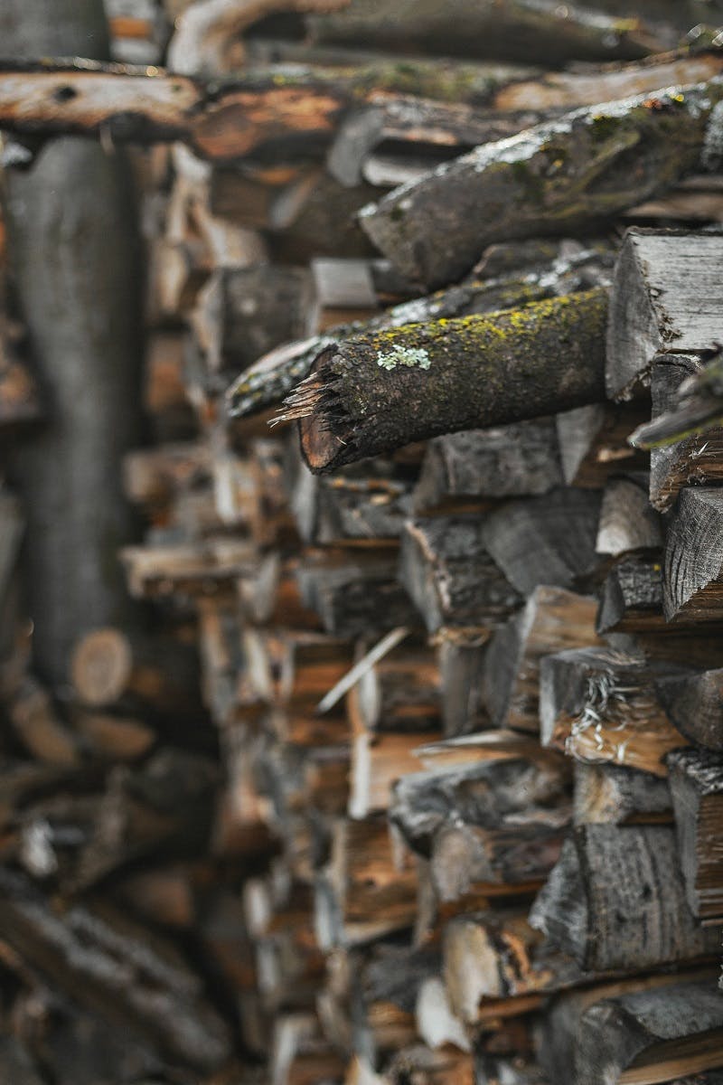 A woodpile.