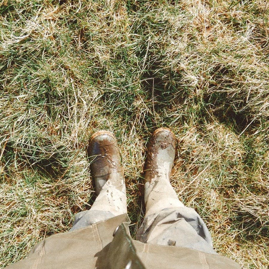 A tree planter's muddy boots at our project area in Ireland. 