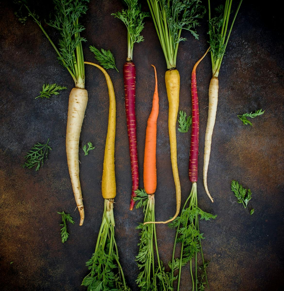 Various root vegetables laid out lined up next to each other.