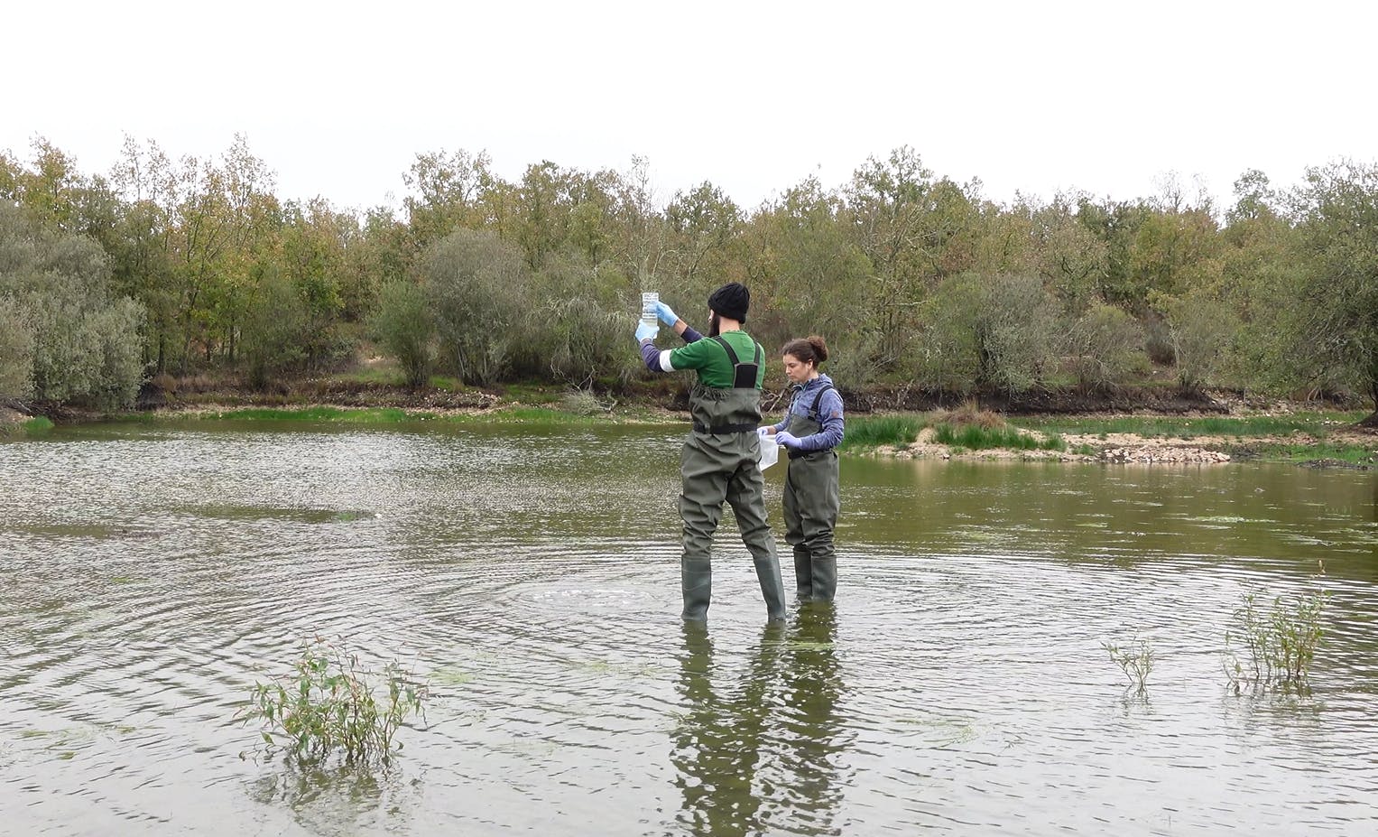 collecting eDNA at our rewilding a former mining site