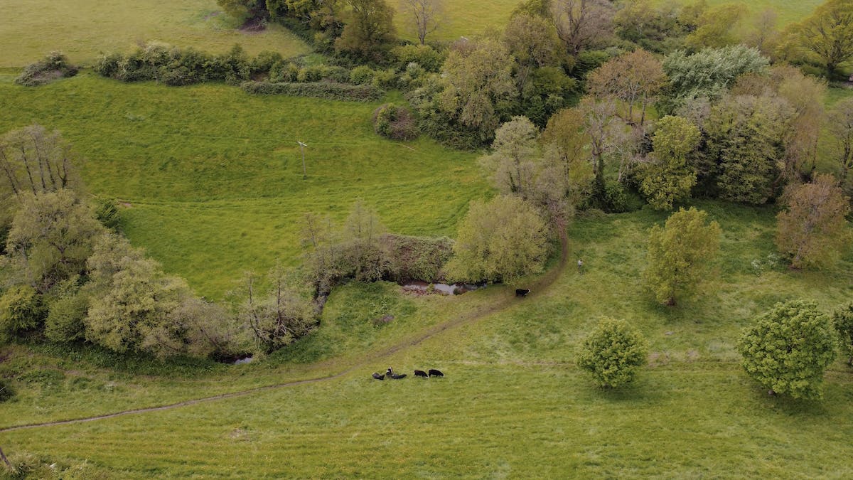 An areal shot of a section of the River Chew catchment