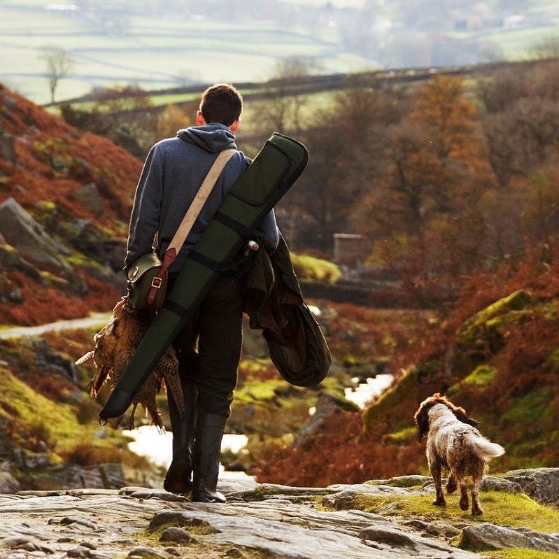 A gamebird hunter walks down a rural path along side his dog.