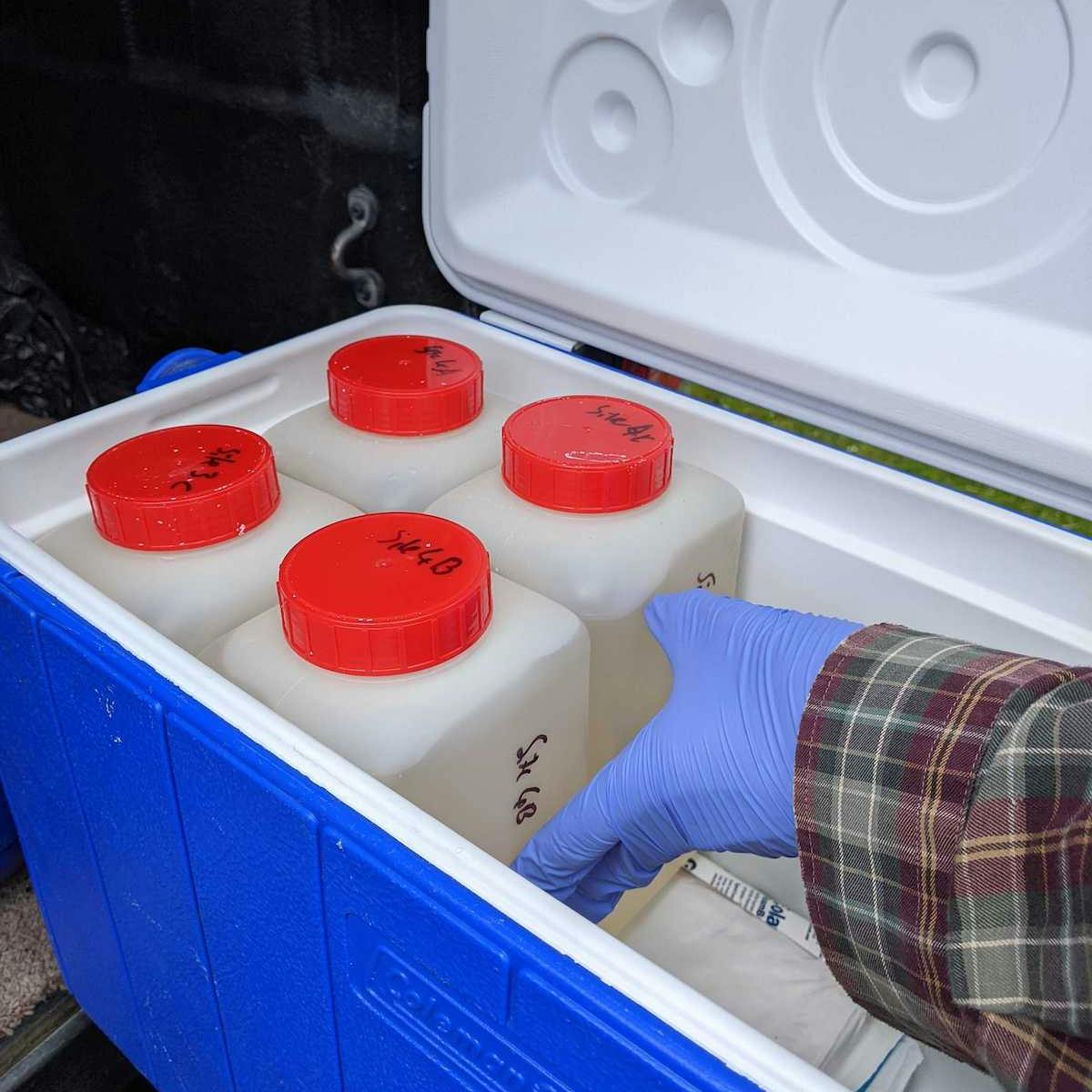 A gloved hand organises water bottles in a blue cooler. 