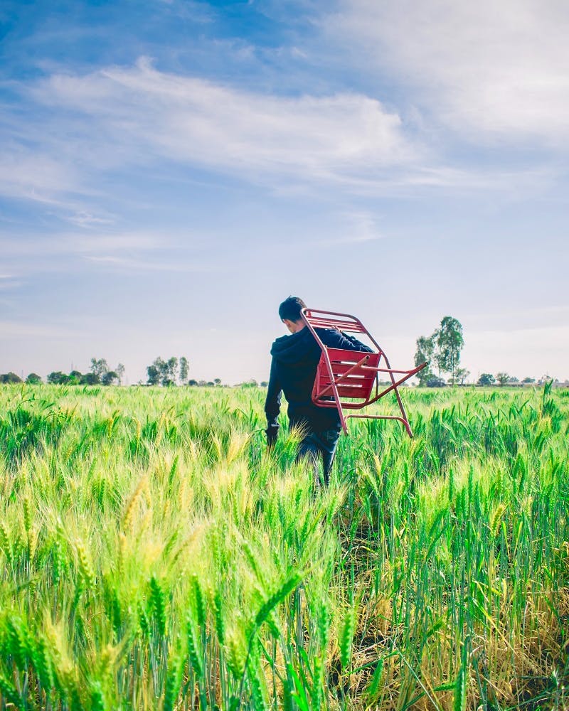 A man walking through a cornfield with a red chair slung over his shoulder.