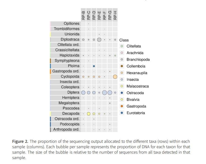 eDNA test results for rewilding a former mining site project by Mossy Earth & Rewilding Europe