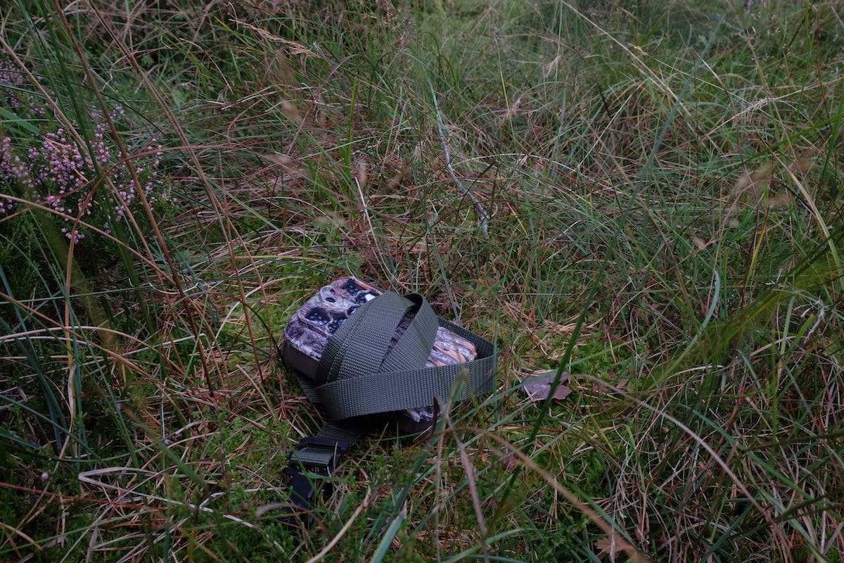 A camera trap sits on the moss field layer of the pinewood