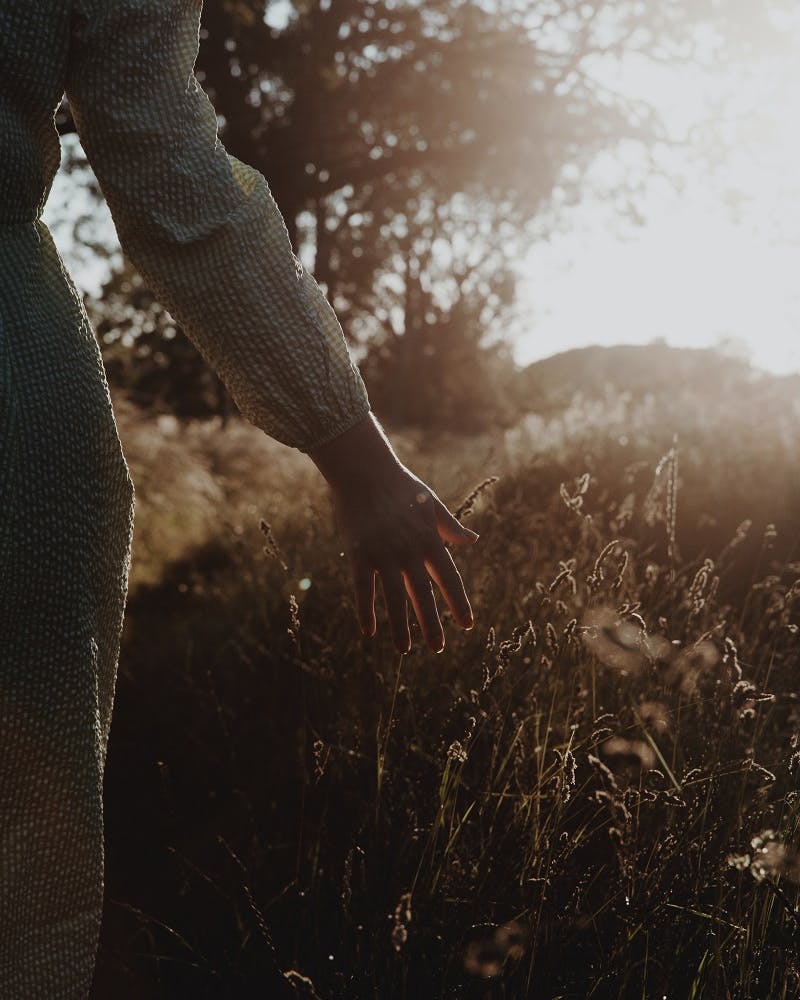 A woman's hand brushes against gain flowers in a wild field. Rewilding addresses man's relationship with the natural world.  