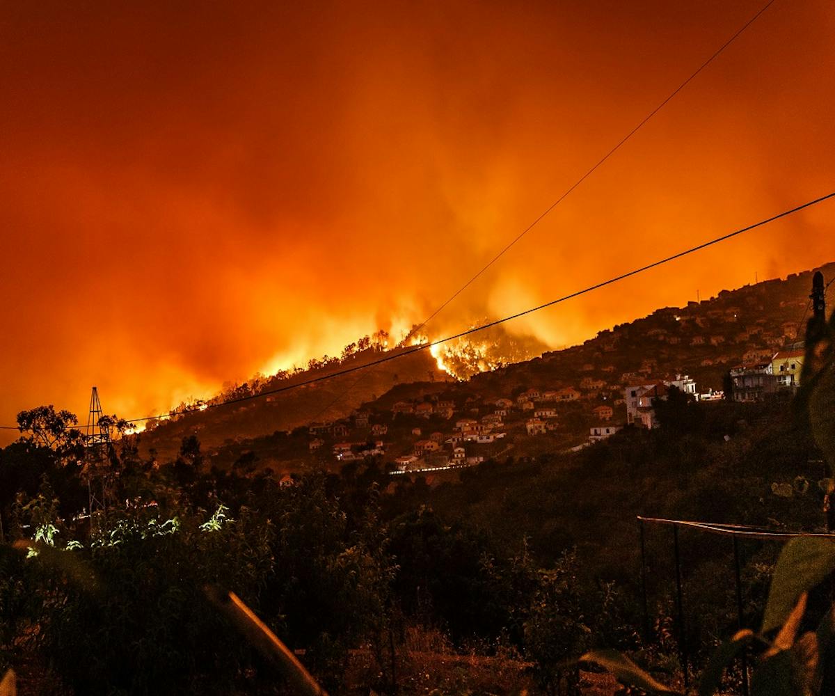 A wildfire blazes on the hillside above a town in Portugal. Rewilding helps build natural defences against such disasters.