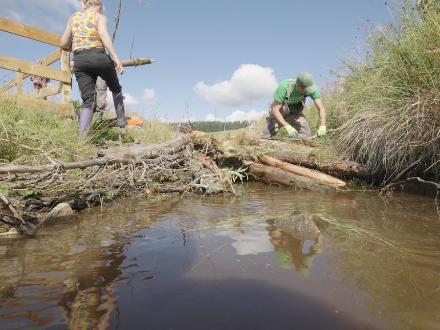 installing a beaver dam analogue