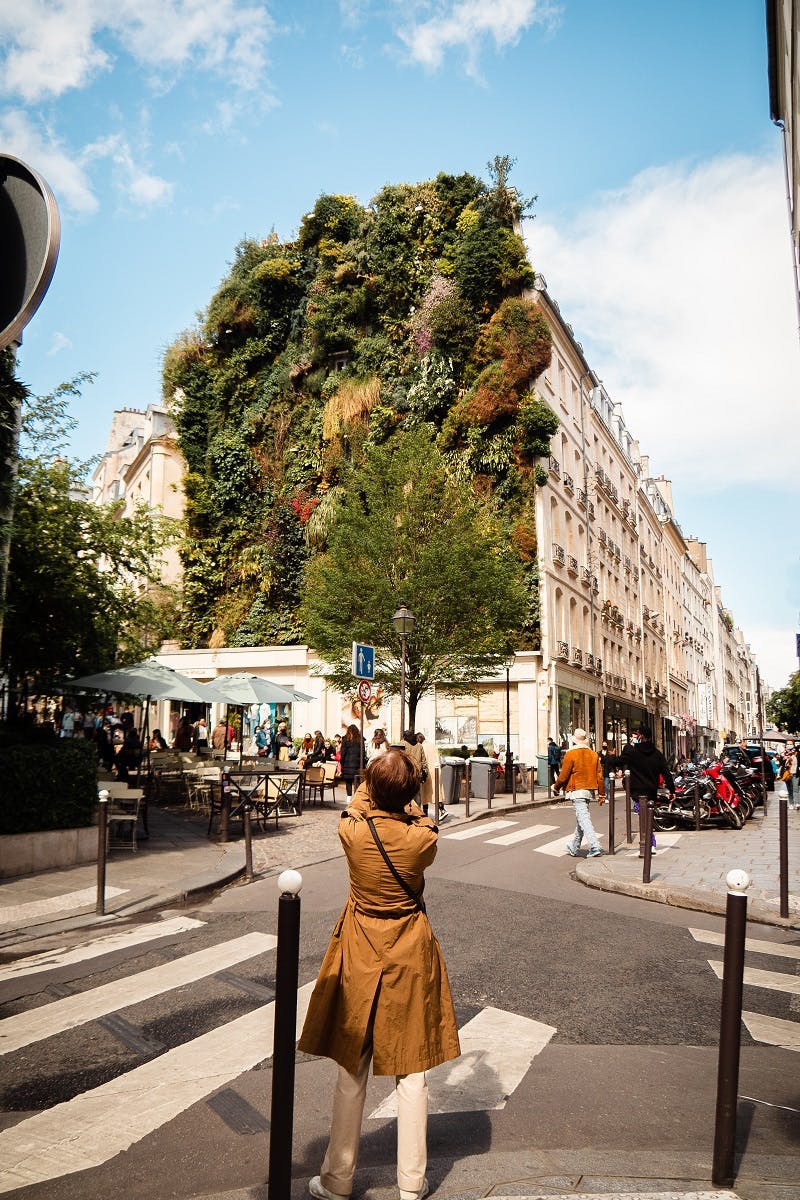 A woman taking a photo of a green wall in Paris, such initiative are part of a movement to rewild our European cities.