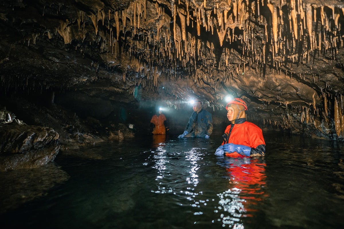 A team of divers in a Croatian cave on a mission to help forgotten species and their ecosystems