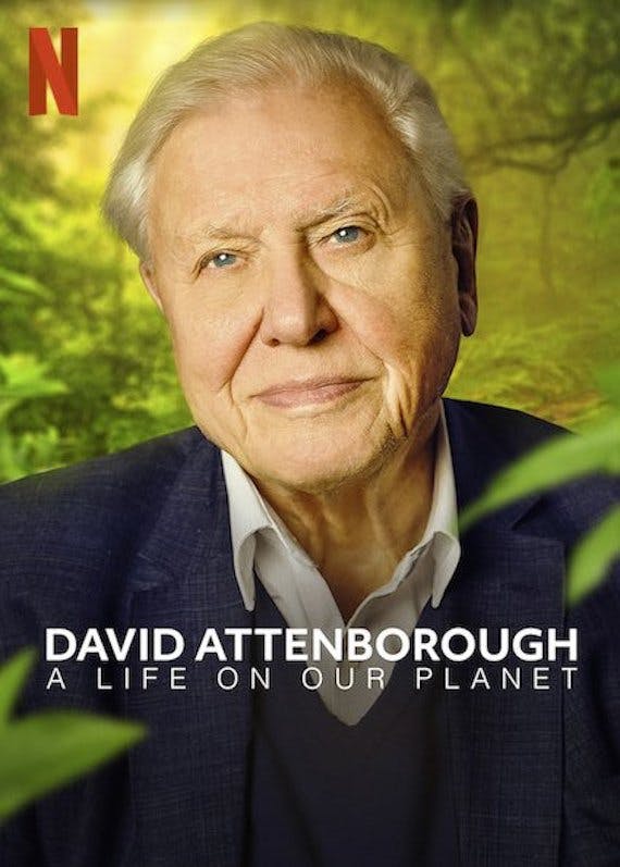 A poster for David Attenborough's "a life on our planet", in which he advocates a flexitarian diet.