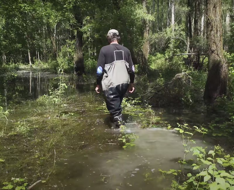 Sigi walking through the wetland forest in Istragov