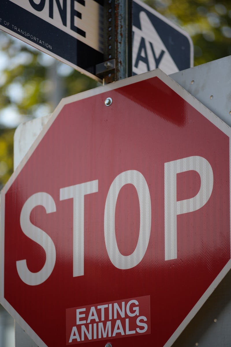 A stop sign that has been tampered with by vegan activists that now reads "Stop eating animals"