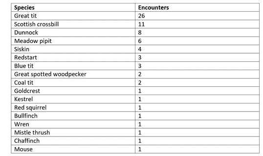 A table showing how many encounters of wildlife were recorded by Mossy Earth's camera trap at an eagle nest platform.