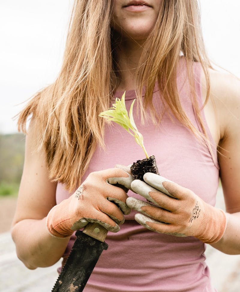A woman holding a plant and gardening knife.