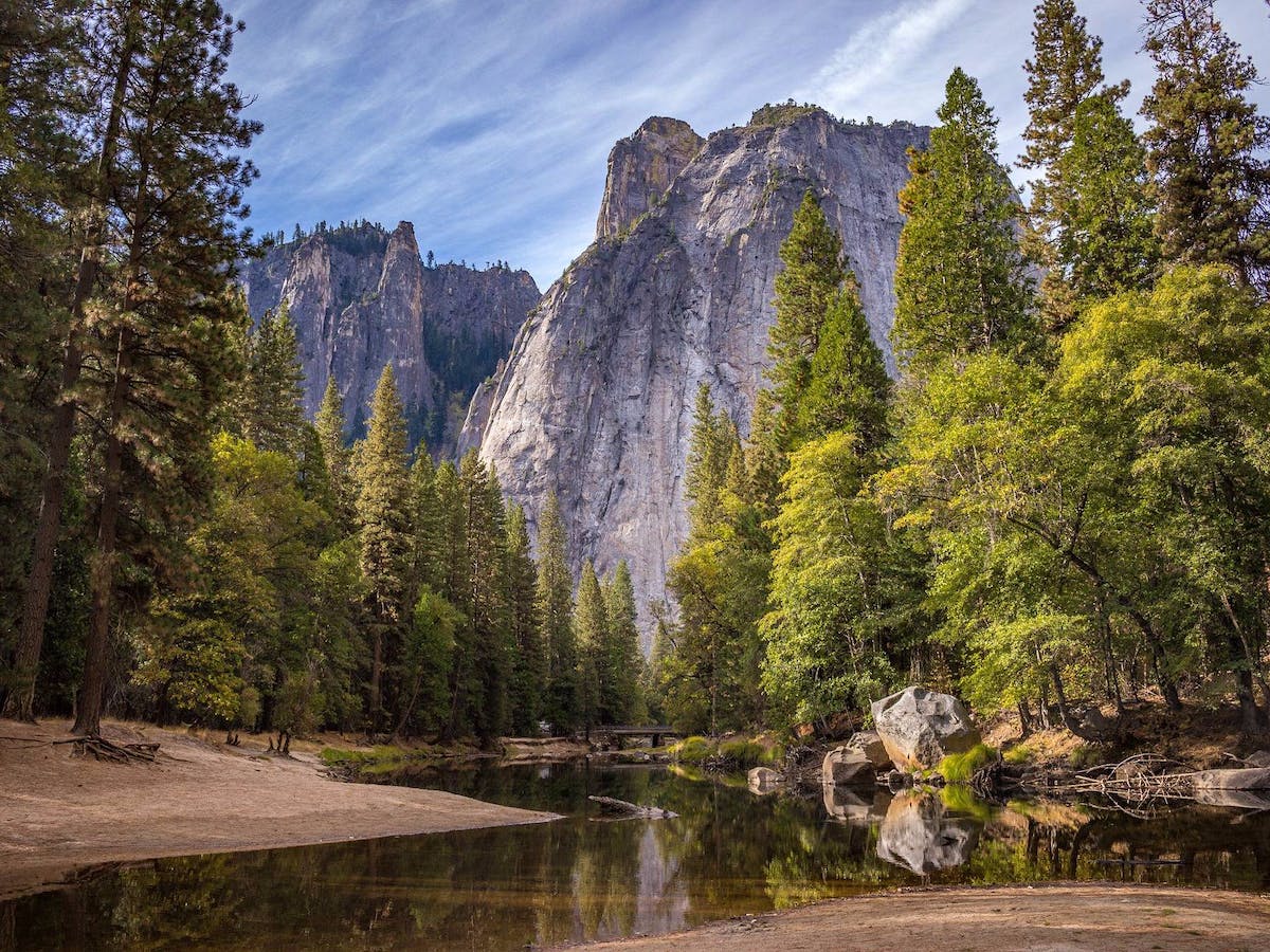 A calm stream meanders through a forest towards the step mountainsides. Healthy, rewilded, functioning ecosystems can provide us with a variety products and services that we depend on