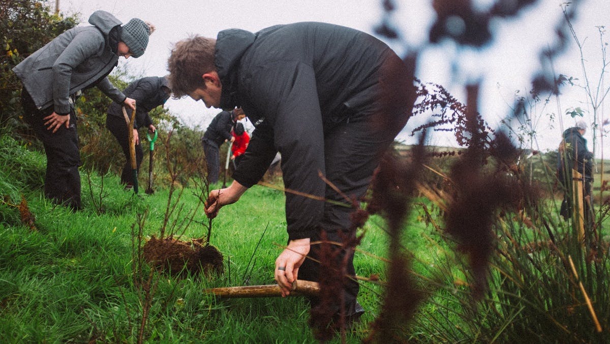A group of young people planting native trees in Ireland