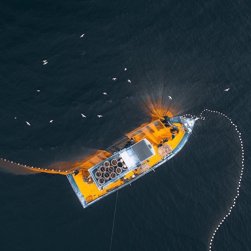 An orange fishing trawler is pictured from a birds eye view in a murky blue ocean, sprawling large fishing nets. 