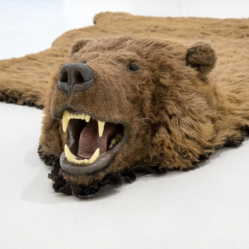 An example of a bear taxidermy.