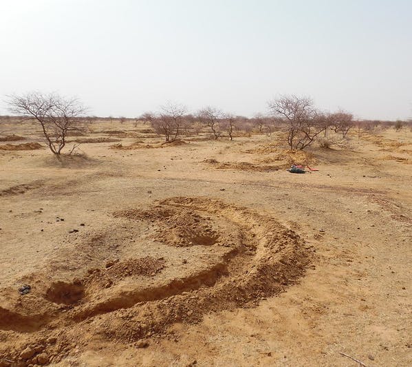 Planting trees to combat desertification with water harvesting ditch ('half-moon'), Dori, Burkina Faso (credit: water.alternatives)