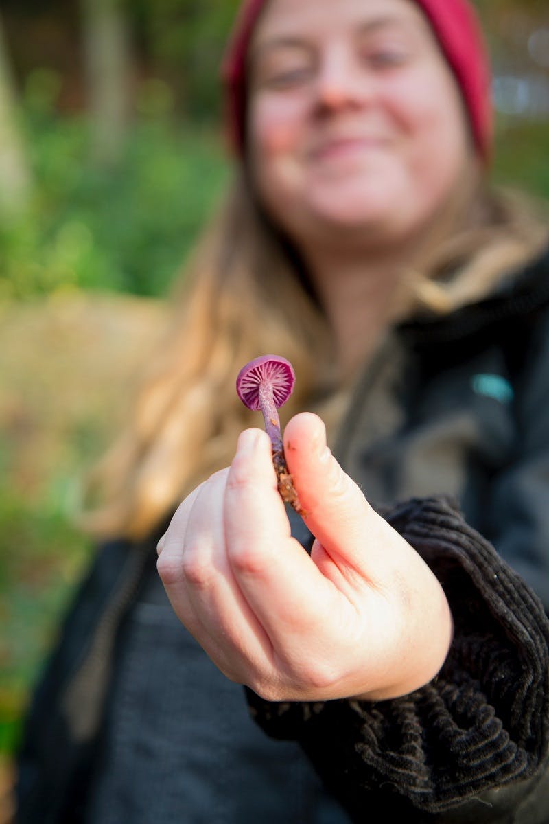 A lady holding a freshly foraged wild mushroom. Wild food foraging can be a lifetime of learning so start small and research one species at a time.