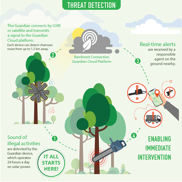 A diagram of the Guardian platform by Rainforest Connection