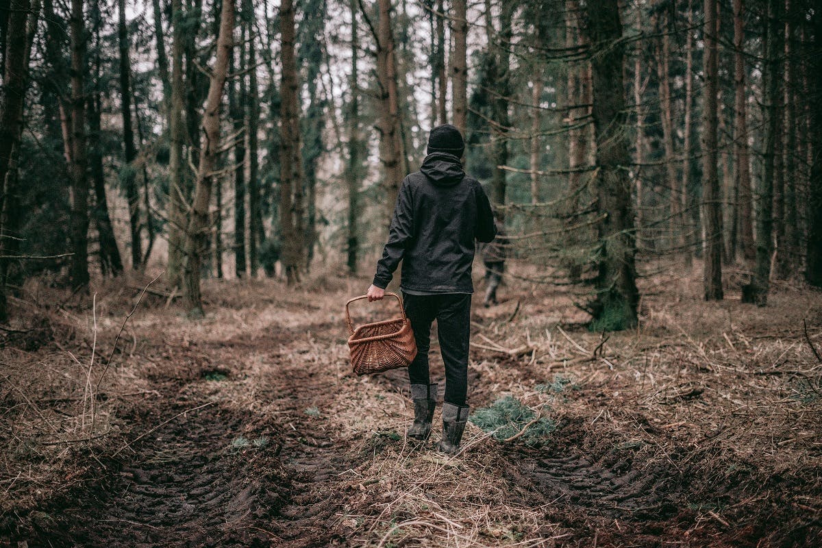 A man with a wicker basket wild food foraging in the woods.