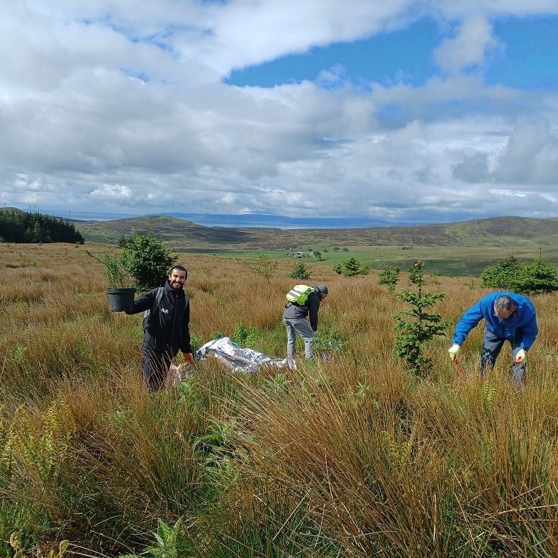Planters working at Wardlaw Wood, Dalry Community Windfarm on Mossy Earth's understory restoration project.