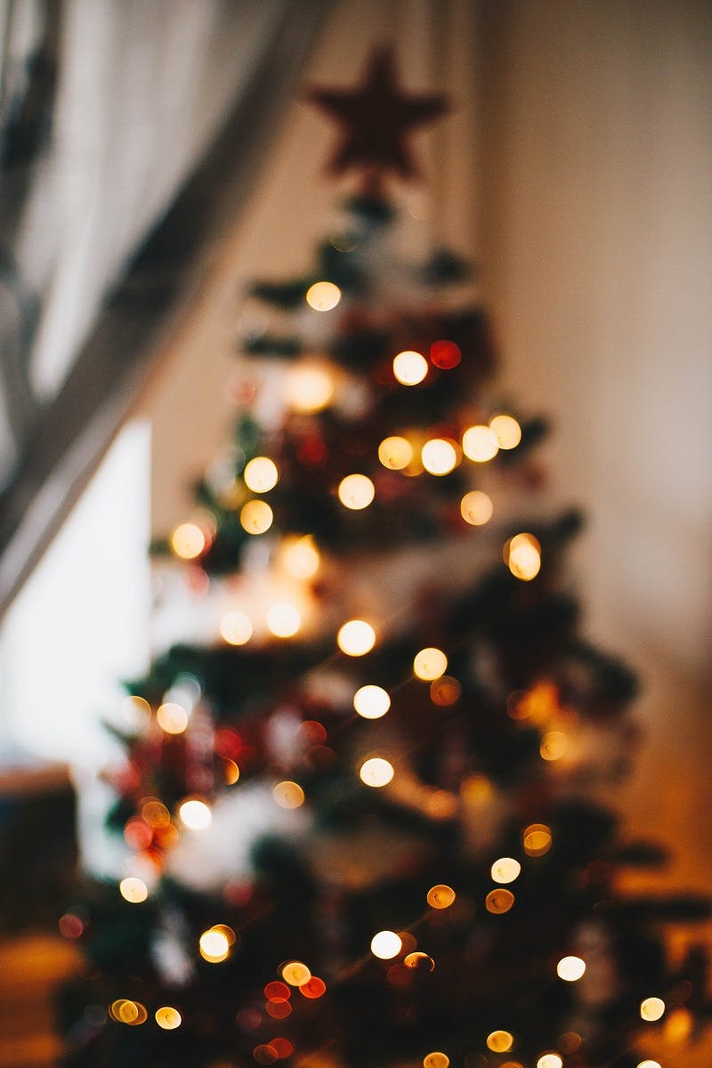 An eco friendly Christmas tree decorated in a home. Careful Christmas tree selection is key to a sustainable Christmas.