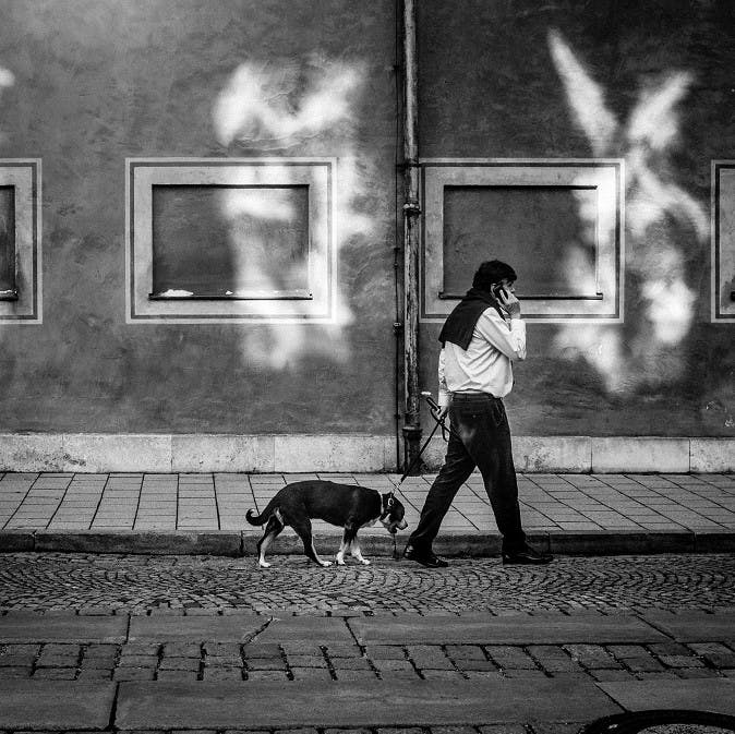 Ecological Boredom, is just one of the many interesting topics George Monbiot discusses in his book Feral. This is depicted her of a man on the telephone while walking his dog in a city. 
