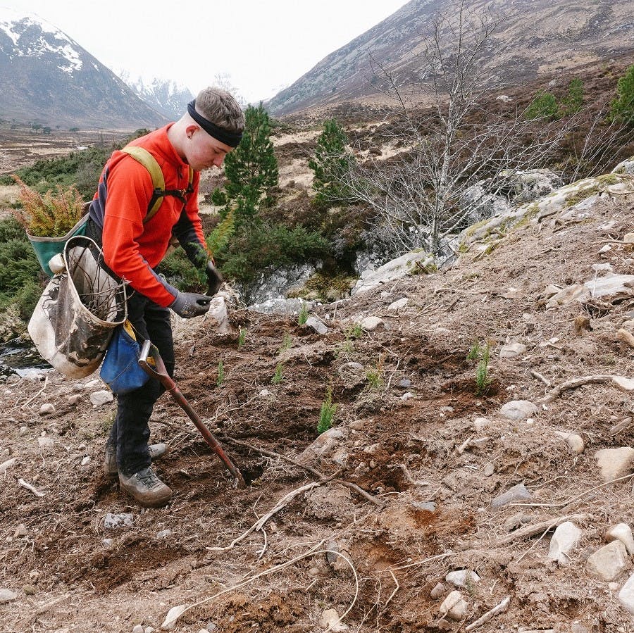 Mossy Earth Tree planting in Scotland. Tree planting is the cheapest and most reliable way to directly sequester carbon from the atmosphere and fight climate change.