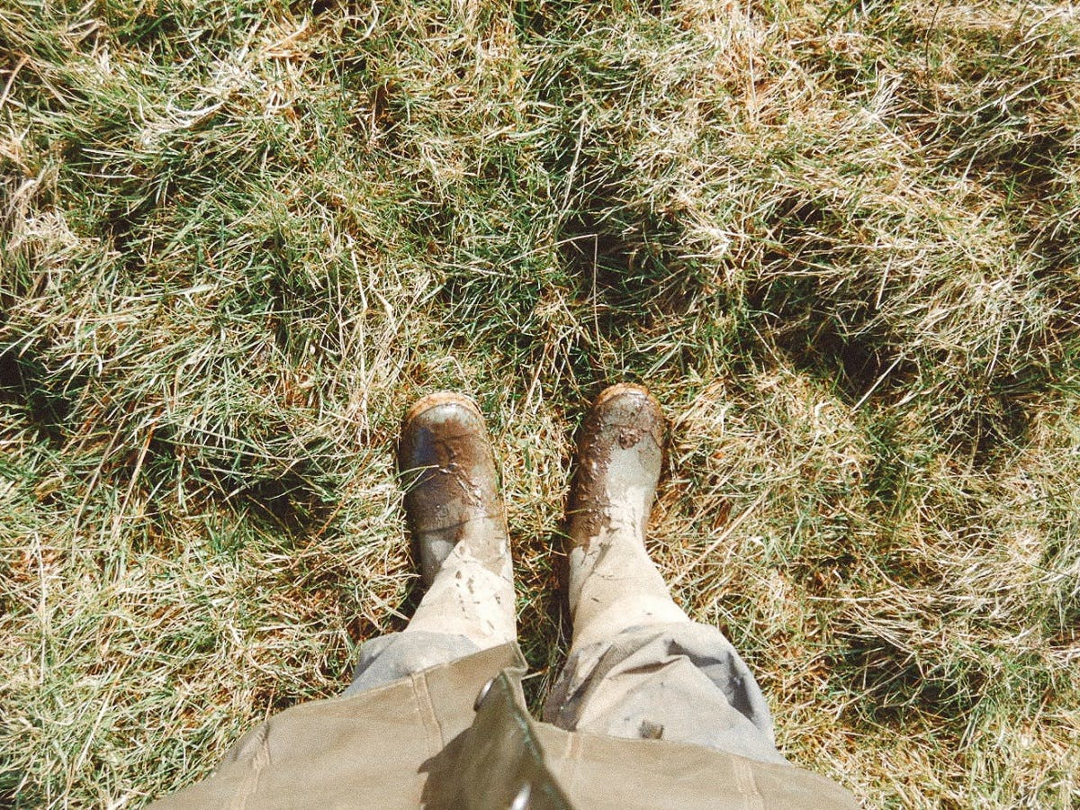 A tree planter's muddy boots at our project area in Ireland.