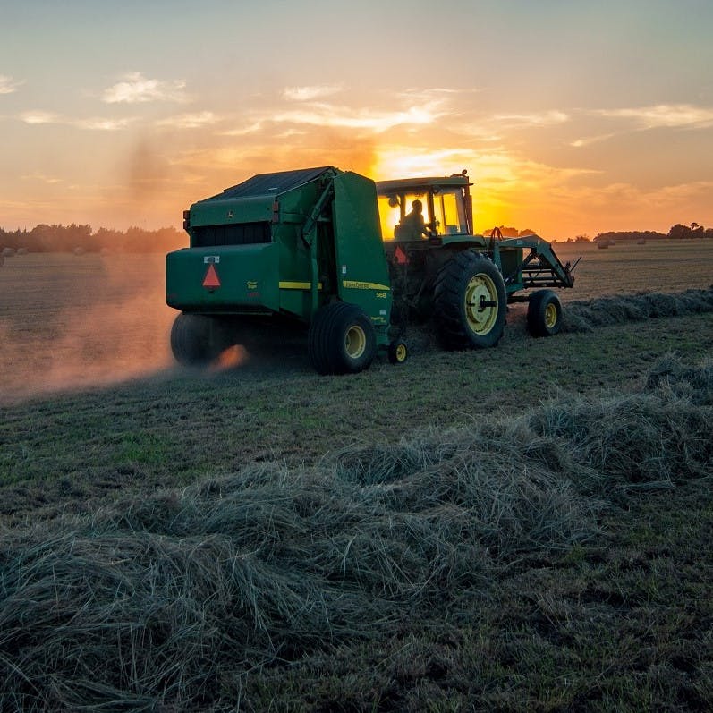 A tractor and combine cutting hay at sunset.